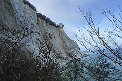 White cliffs of Moen